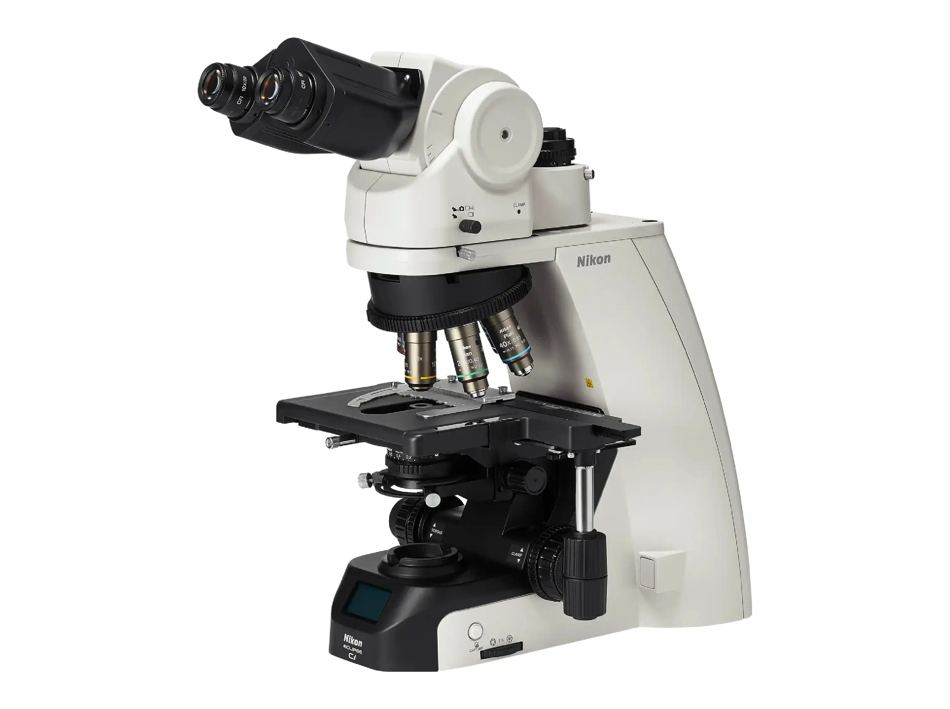 In Vitro Fertilization (IVF) | Jordan